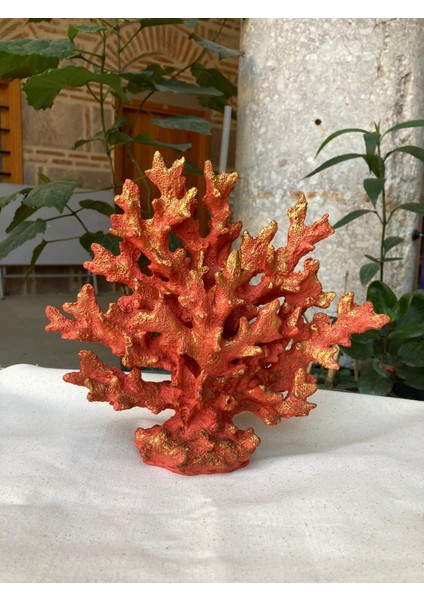 Küçük Deniz Mercan fiyatları