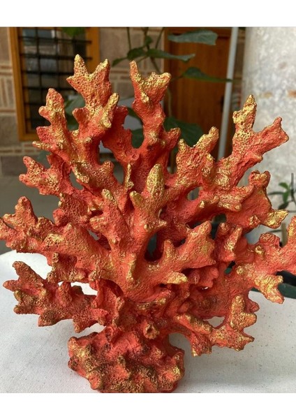 Küçük Deniz Mercan modelleri