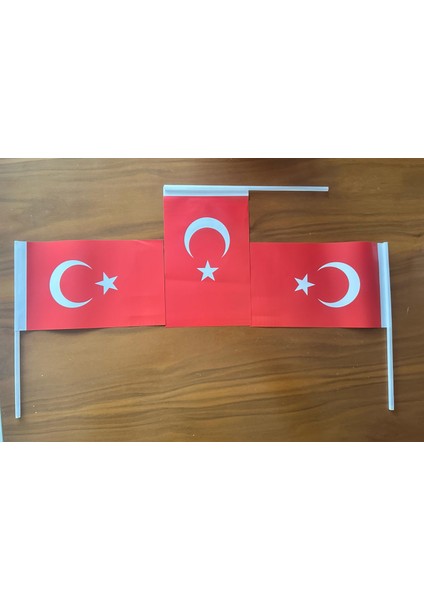 Kağıt Türk Bayrağı modelleri