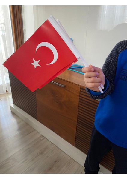 Kağıt Türk Bayrağı