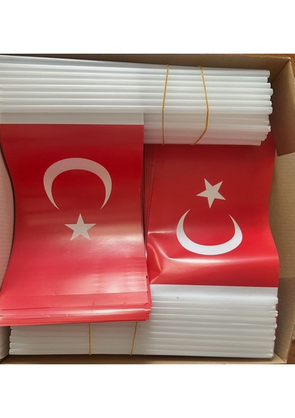 Kağıt Türk Bayrağı