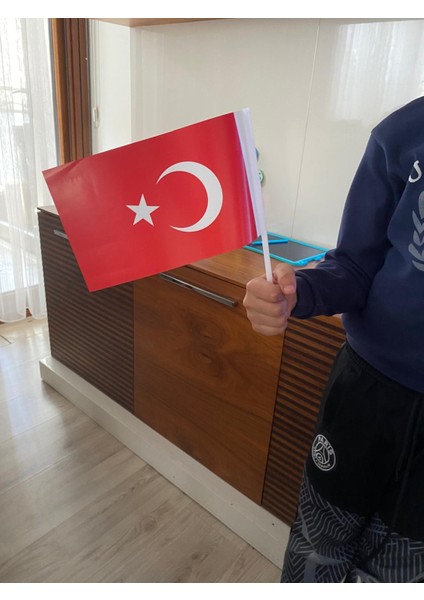 Kağıt Türk Bayrağı