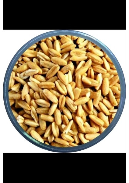 Soyulmuş Yulaf Içi 1kg