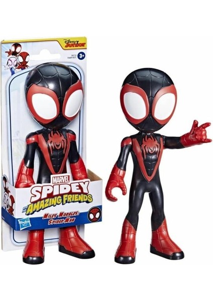 Spidey And His Amazing Friends Dev F6689 Ank