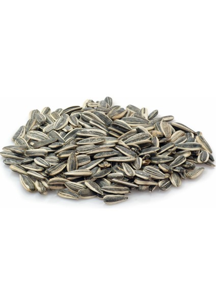 Siyah Çekirdek Iri Tuzlu 250GR