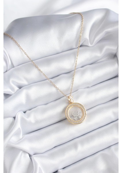 316L Çelik Gold Renk Zirkon Taş Detay Ay Yıldız Fanus Model Kadın Kolye - TJ-BKO8194