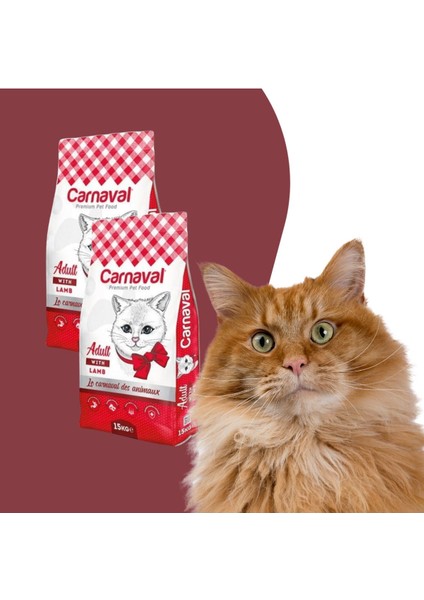 Kaliteli Ekonomik Paket Yetişkin Kedi Maması Kuzu Etli 2X15 kg