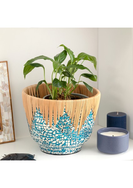 Chi Çiçeklik 23 cm Beyaz/açık Mavi fiyatları