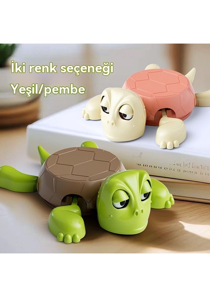 Komik Kaplumbağa Gözlerine Bakıyor (Yurt Dışından) modelleri