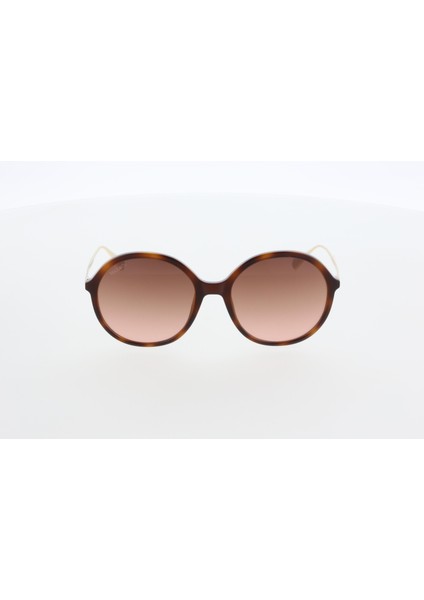 Max&co MO0109 52F Kadın Güneş Gözlüğü