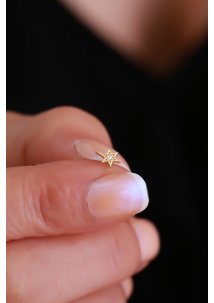 14 Ayar Altın Taşlı Yıldız Tragus fiyatları
