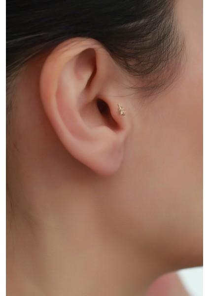 14 Ayar Altın Taşlı Yıldız Tragus fırsatları
