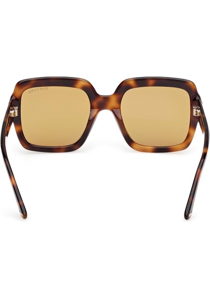 FT1082 53E Kadın Güneş Gözlüğü modelleri