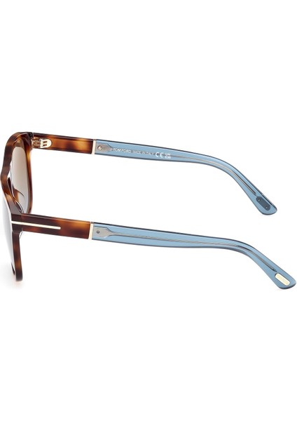 FT1081 53F Erkek Güneş Gözlüğü fiyatları