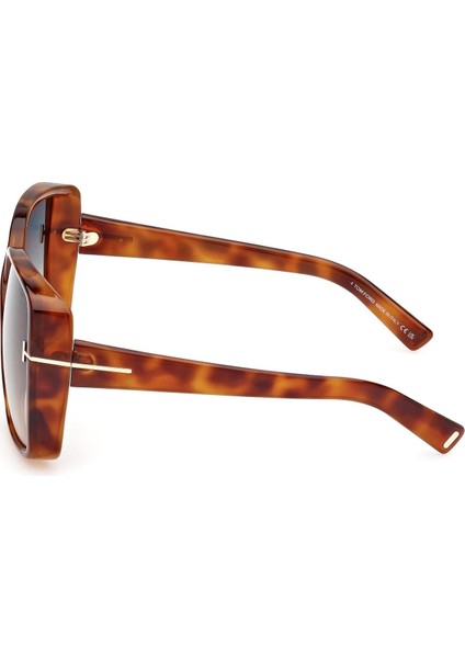 FT1117 53P Kadın Güneş Gözlüğü fiyatları