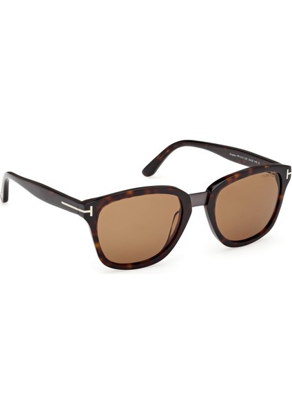 FT1213 52E Erkek Güneş Gözlüğü modelleri