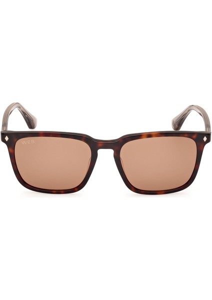 WE0369 56E Erkek Güneş Gözlüğü