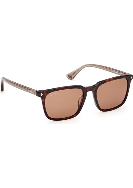 WE0369 56E Erkek Güneş Gözlüğü modelleri