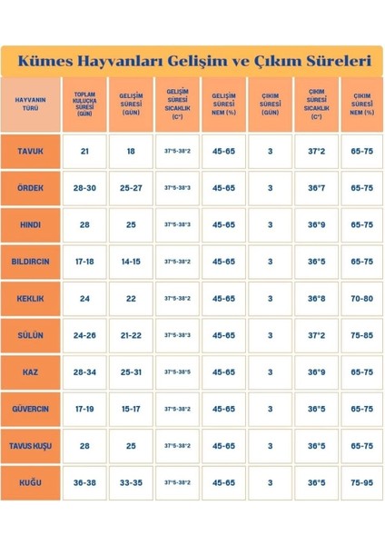 60 Yumurta Kapasiteli Tam Otomatik Kuluçka Makinesi - Civciv, Kaz, Hindi ve Ördek Yetiştiriciliği EPO-W60