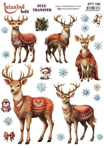 Yılbaşı Sulu Transfer 25X35CM STY180