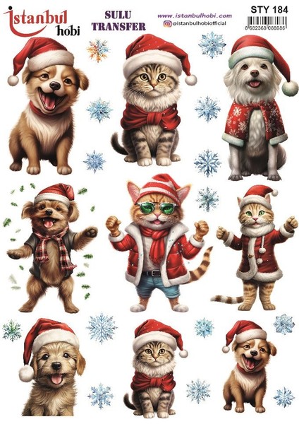 Yılbaşı Sulu Transfer 25X35CM STY184