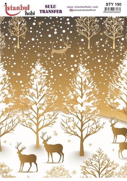 Yılbaşı Sulu Transfer 25X35CM STY190