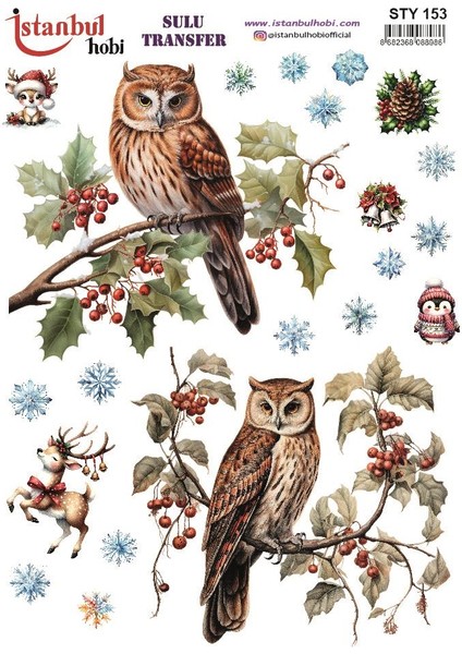 Yılbaşı Sulu Transfer 25X35CM STY153