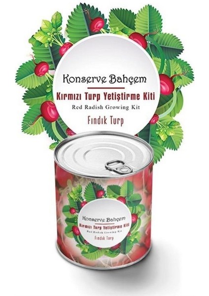 Konserve Bahçem Evde Konservede Fındık Turp Yetiştirme Kiti