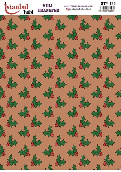 Yılbaşı Sulu Transfer 25X35CM STY122