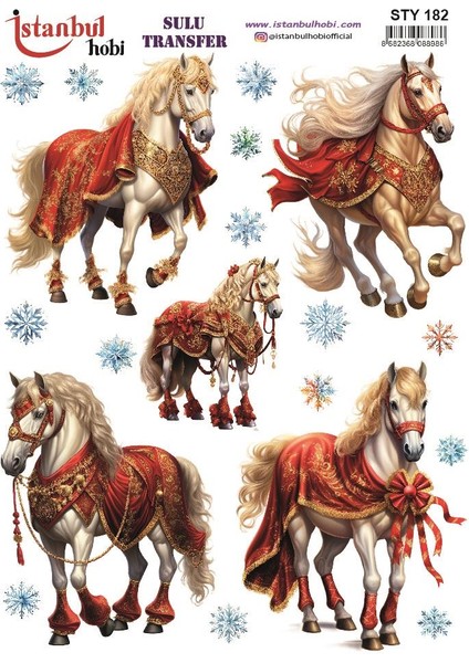 Yılbaşı Sulu Transfer 25X35CM STY182