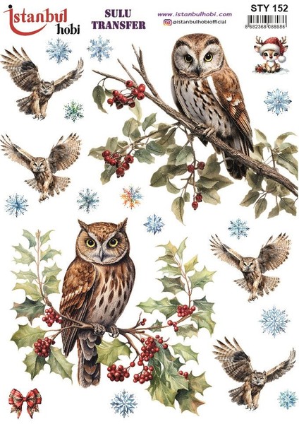 Yılbaşı Sulu Transfer 25X35CM STY152