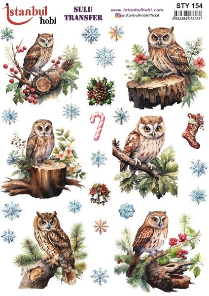 Yılbaşı Sulu Transfer 25X35CM STY154