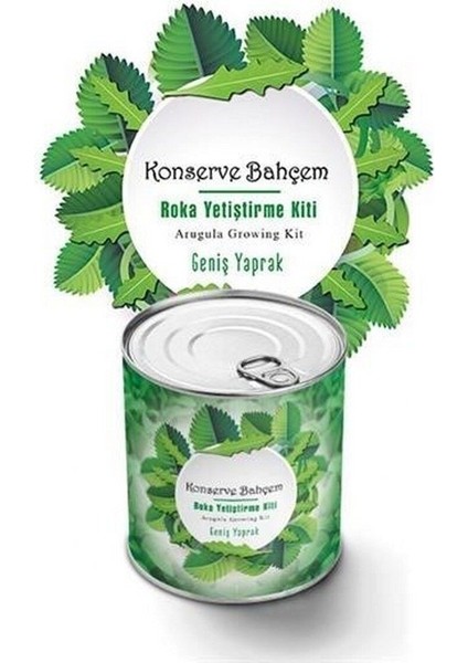 Konserve Bahçem Evde Konservede Iri Yapraklı Roka Yetiştirme Kiti