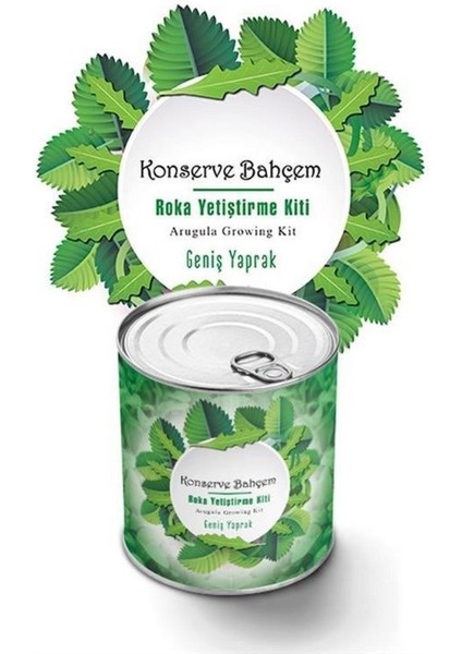 Konserve Bahçem Evde Konservede Iri Yapraklı Roka Yetiştirme Kiti