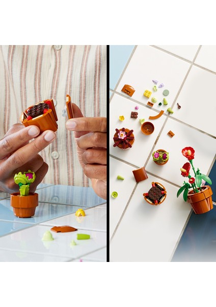 ® Botanicals Minik Bitkiler 10329 - Yetişkinler için Dekoratif, Sergilenebilir Yaratıcı Çiçek Model Yapım Seti (758 Parça)