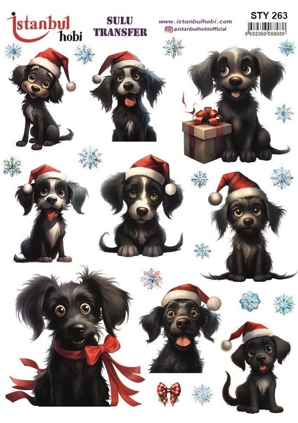 Yılbaşı Sulu Transfer 25X35CM STY263