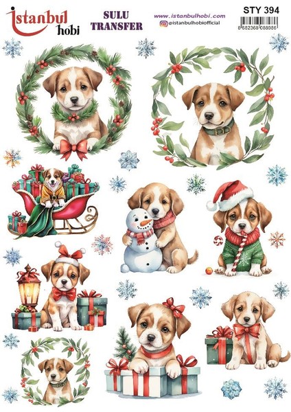 Yılbaşı Sulu Transfer 25X35CM STY394
