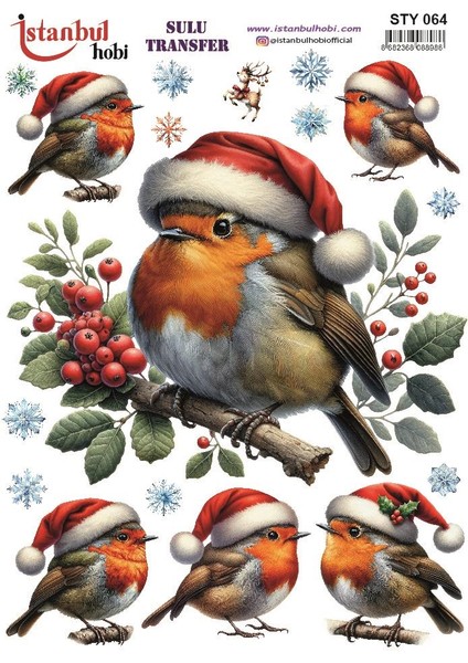 Yılbaşı Sulu Transfer 25X35CM STY064