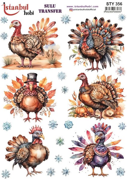 Yılbaşı Sulu Transfer 25X35CM STY356