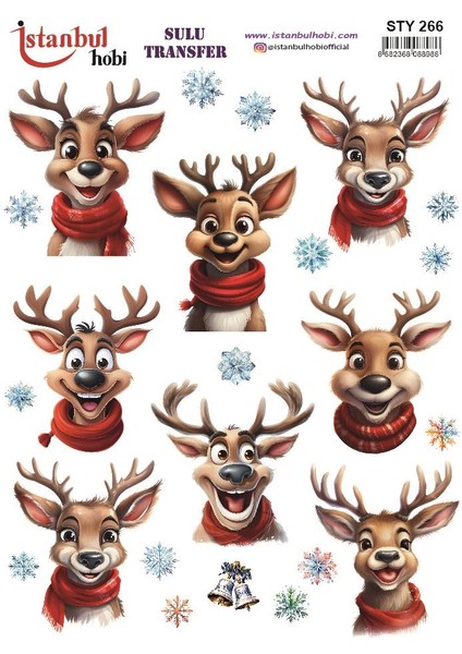 Yılbaşı Sulu Transfer 25X35CM STY266