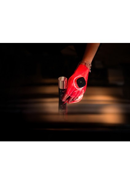 Faq 221 LED El Maskesi