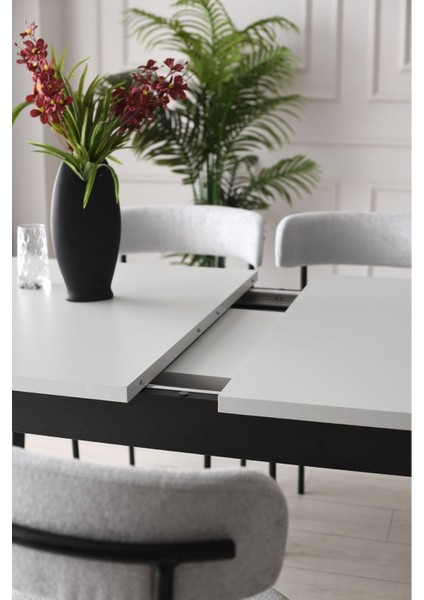 Lone Yemek Odası Takımı modelleri