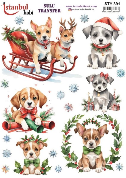 Yılbaşı Sulu Transfer 25X35CM STY391