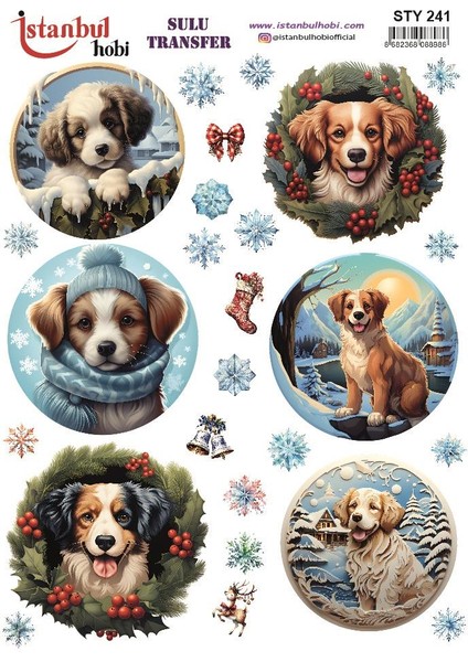 Yılbaşı Sulu Transfer 25X35CM STY241