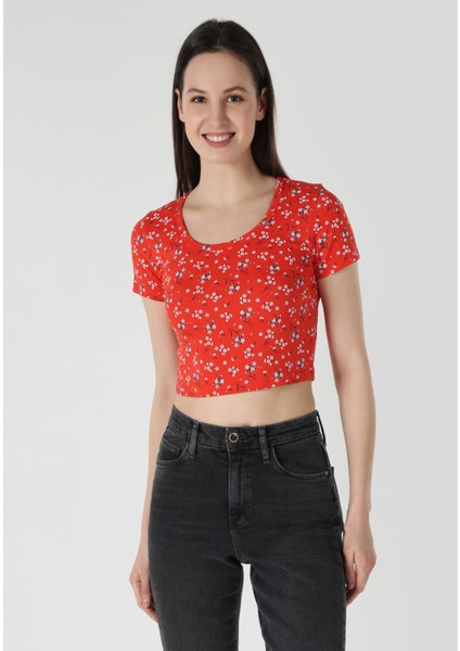 Slim Fit Yuvarlak Yaka Çiçekli Kadın Kirmizi Kısa Kol Tişört fırsatları