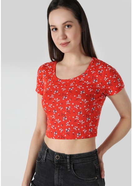 Slim Fit Yuvarlak Yaka Çiçekli Kadın Kirmizi Kısa Kol Tişört indirimleri