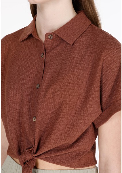 Regular Fit Shirt Neck Jakarlı Kadın Kahverengi Kısa Kol Tişört fırsatları