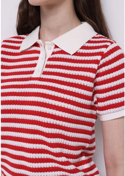 Slim Fit Polo Yaka Çizgili Kadın Kirmizi Kısa Kol Tişört fırsatları