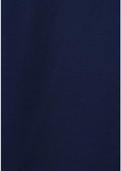 Regular Fit Polo Yaka Düz Erkek Mavi Kısa Kol Tişört indirimleri