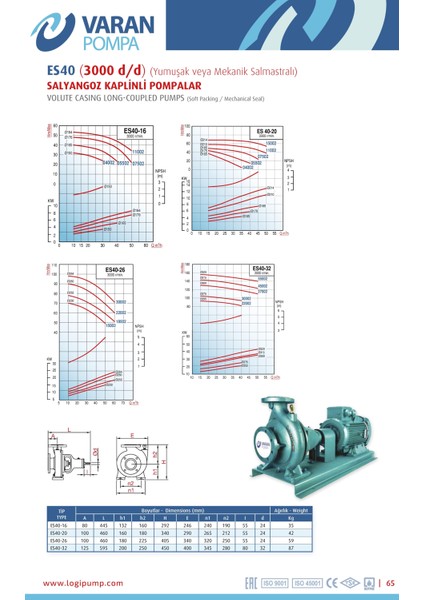 Varan Es 40-20-15002 Uçtan Emişli En 733 Santrifüj Pompa 20 Hp / 15 Kw, Trifaze 380 V, 66 Mss, 50 M3/h